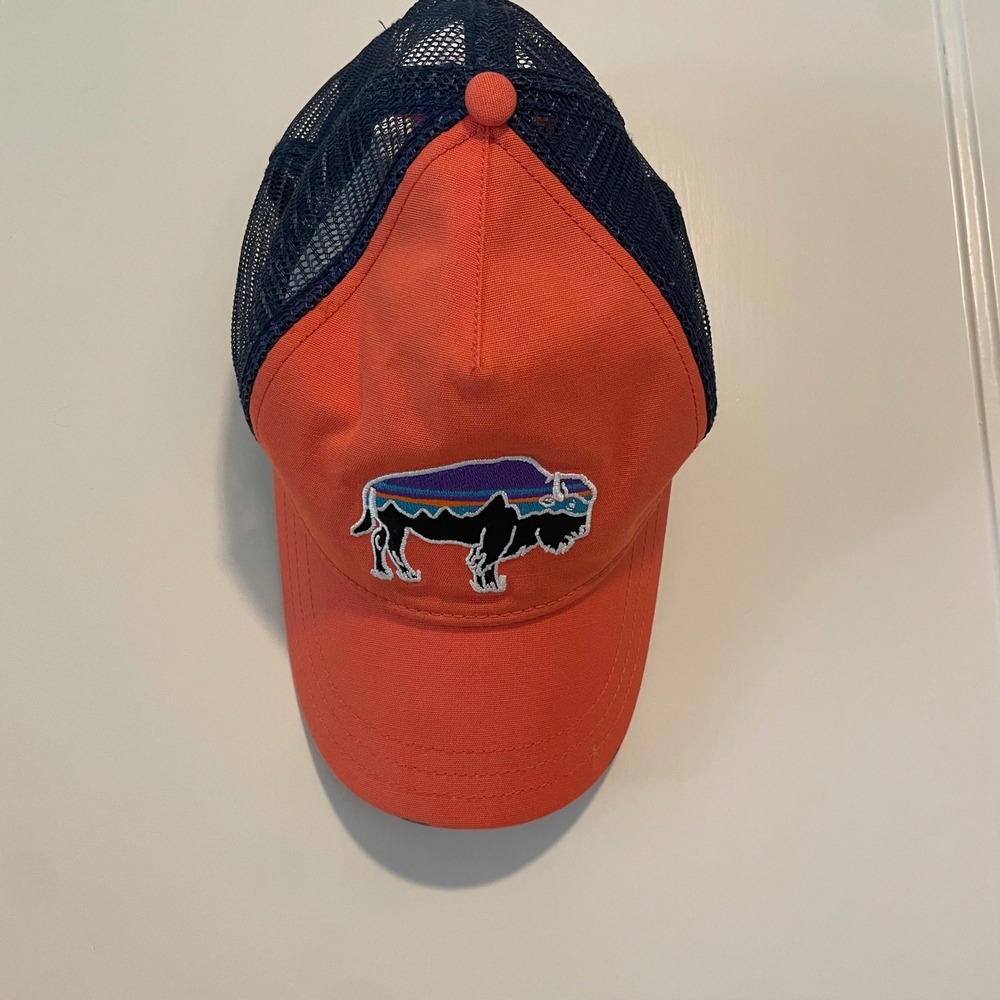 Patagonia Fitz Roy Bison Trucker Hat OS Snapback